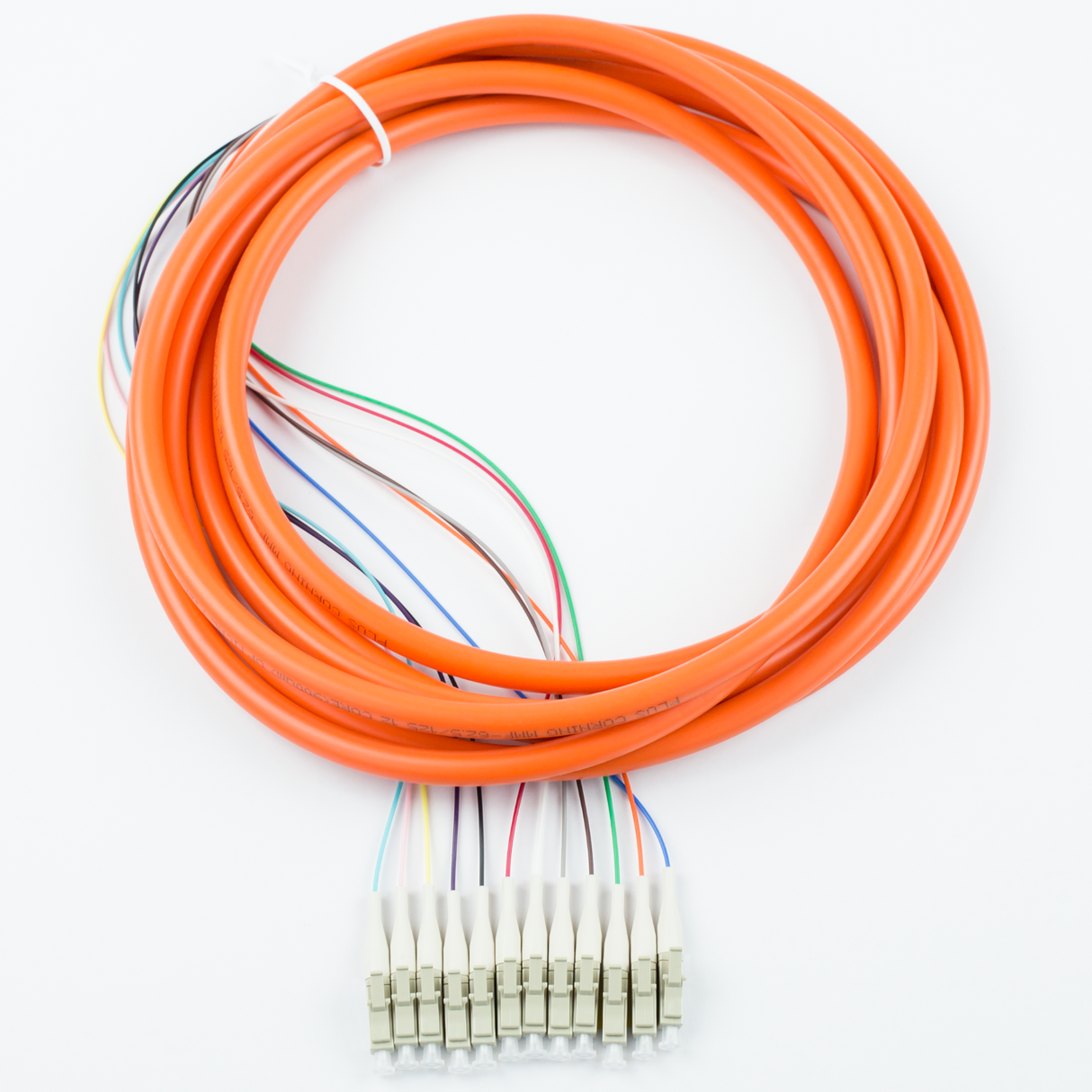 12-Fiber Pigtail, OM1
