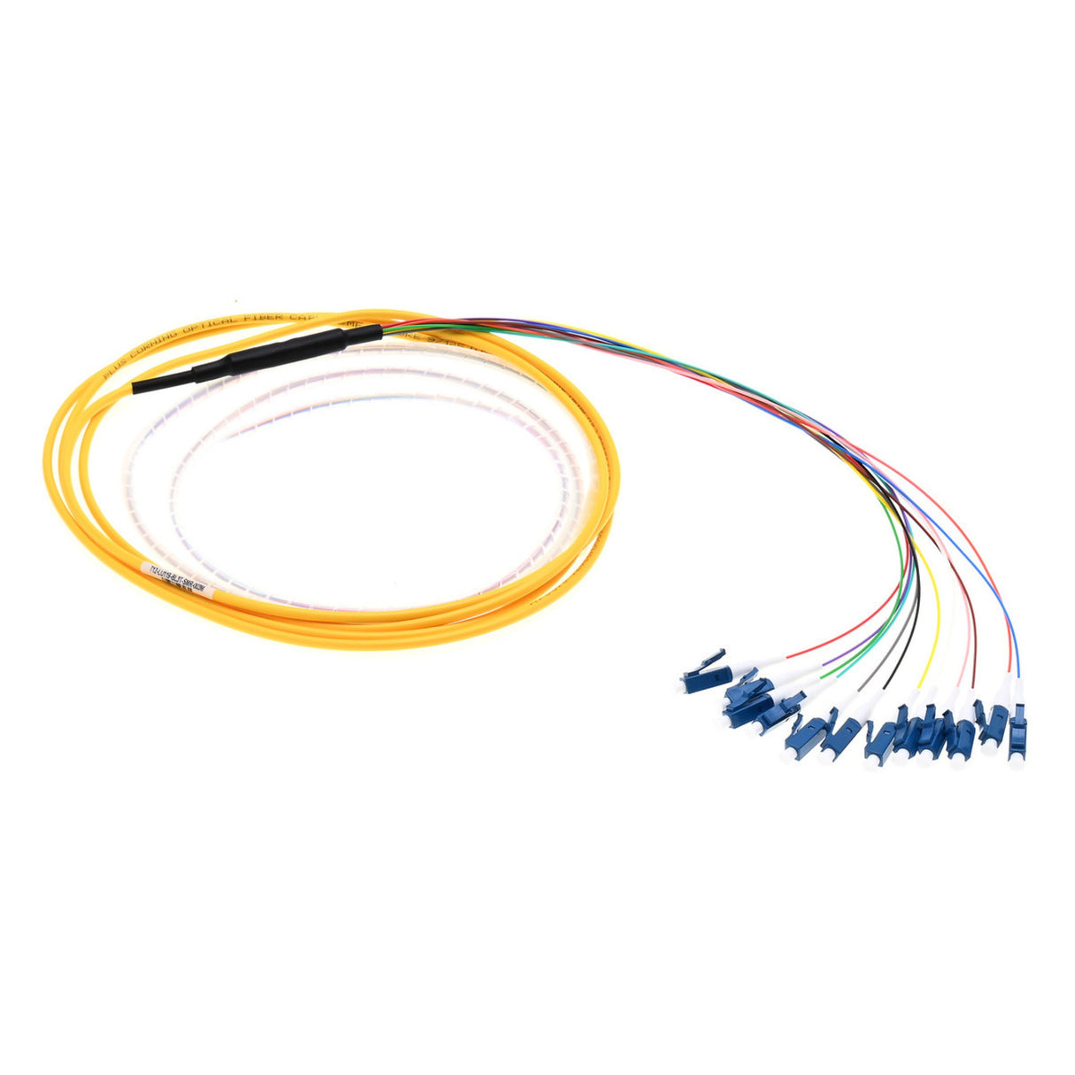 12-Fiber Slim Pigtail, OS2