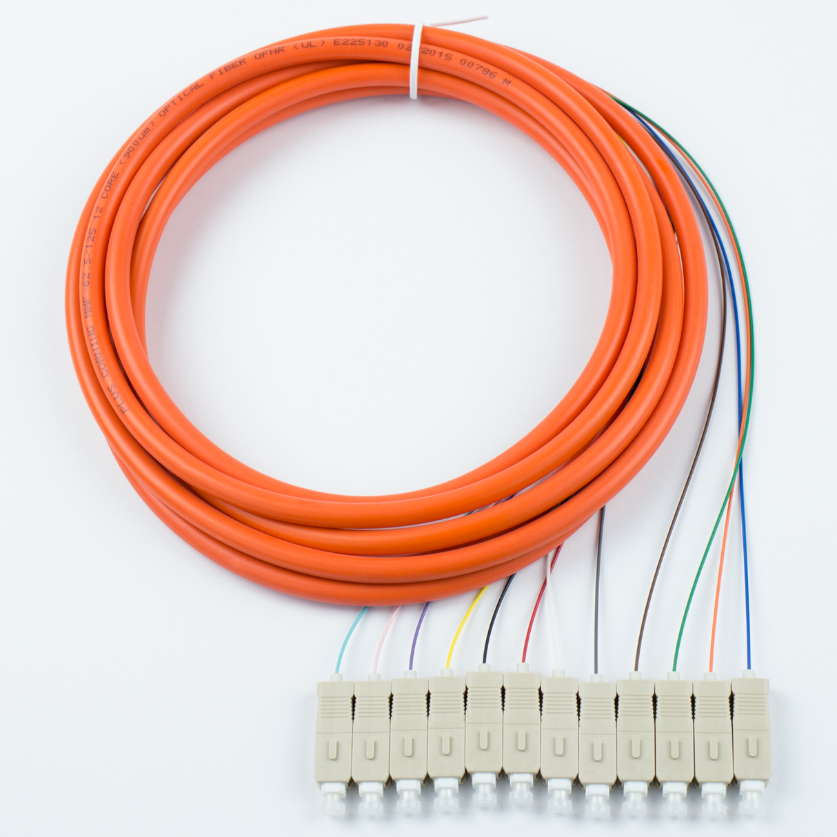 12-Fiber Pigtail, OM1