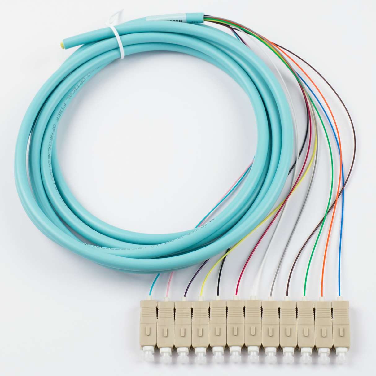 12-Fiber Pigtail, OM3