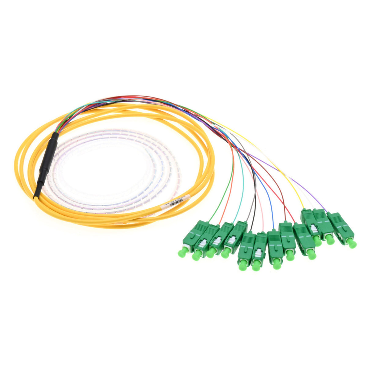 12-Fiber Slim Pigtail, OS2