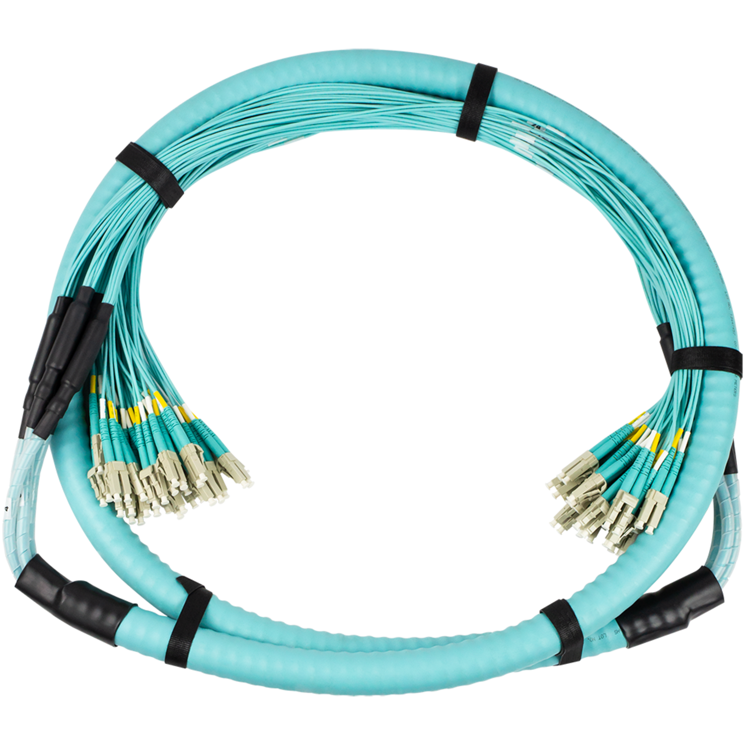 Armored Fiber Trunks