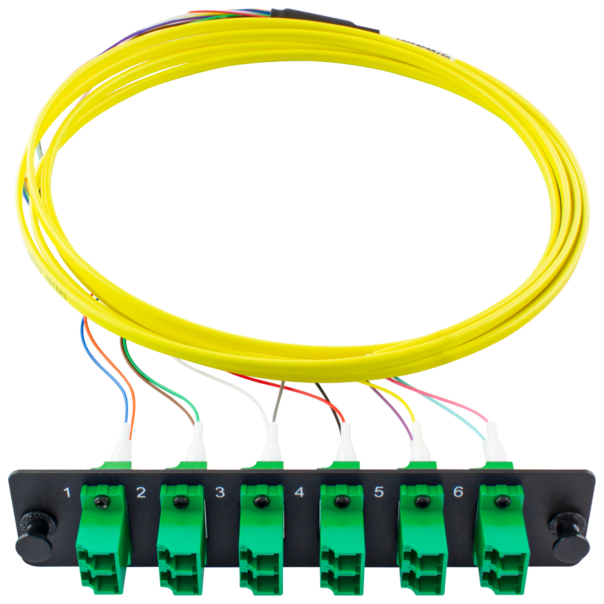 PiggyPak OS2 Ribbon