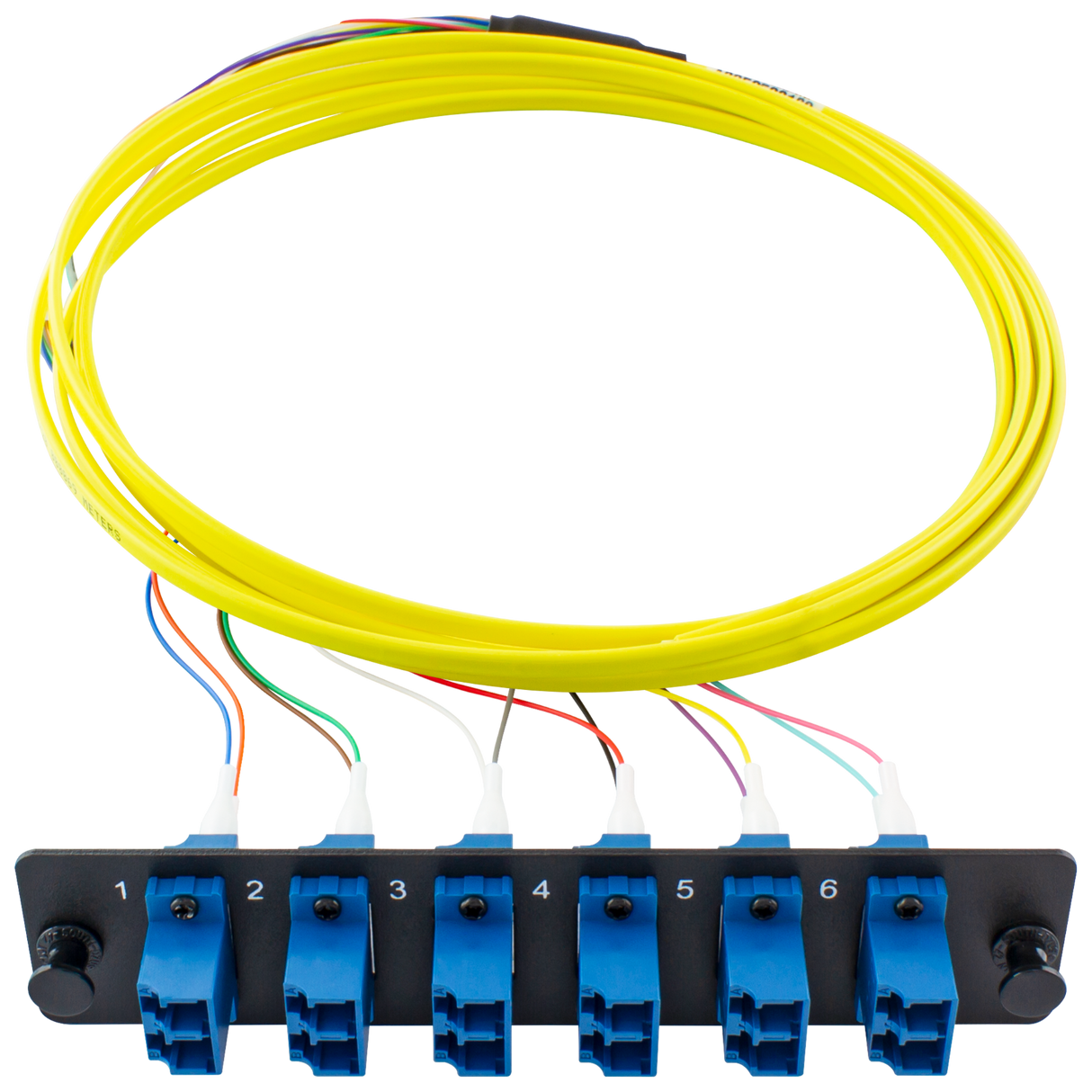 PiggyPak OS2 Ribbon