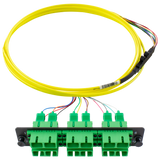 PiggyPak OS2 Ribbon