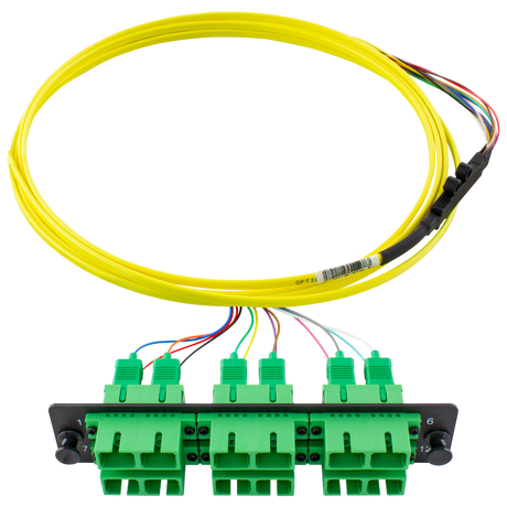 PiggyPak OS2 Ribbon