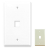 1 Port Wall Plate (Single Gang)