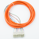 12-Fiber Pigtail, OM1