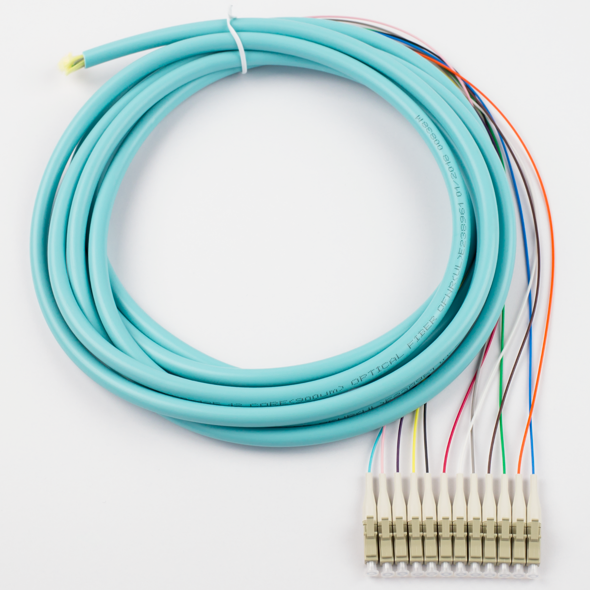 12-Fiber Pigtail, OM3