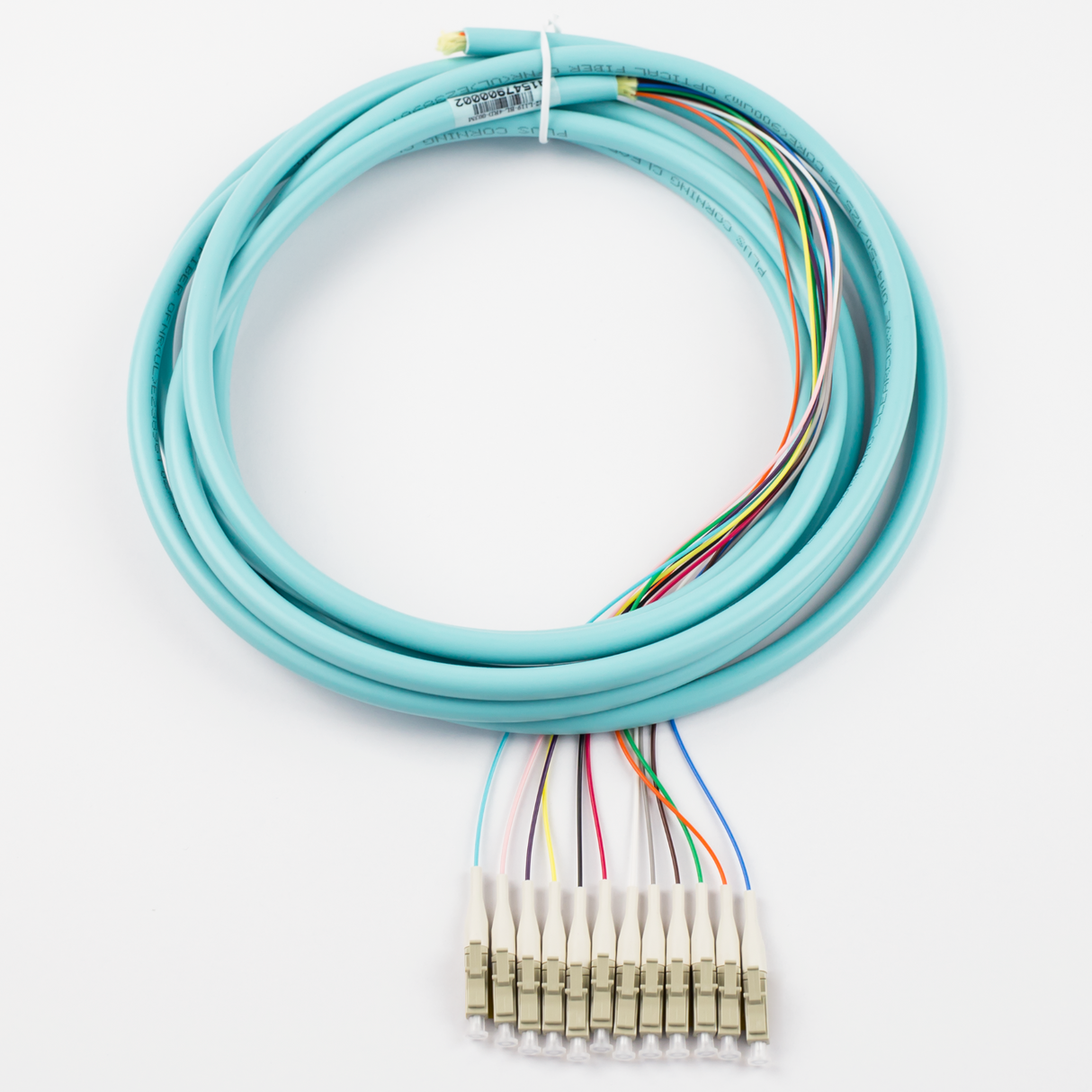 12-Fiber Pigtail, OM4