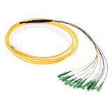 12-Fiber Slim Pigtail, OS2
