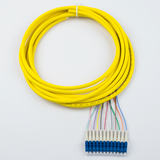 12-Fiber Pigtail, OS2