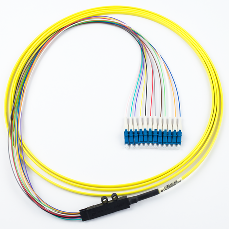 12-Fiber Pigtail, OS2 Ribbon