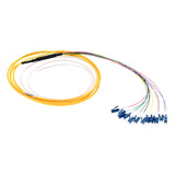 12-Fiber Slim Pigtail, OS2