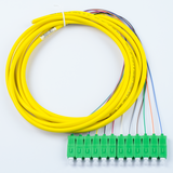 12-Fiber Pigtail, OS2