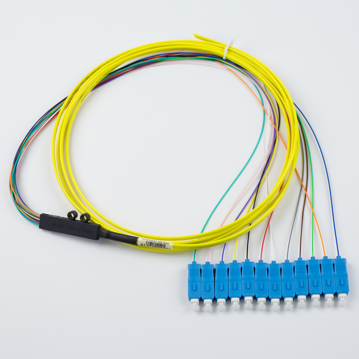 12-Fiber Pigtail, OS2 Ribbon