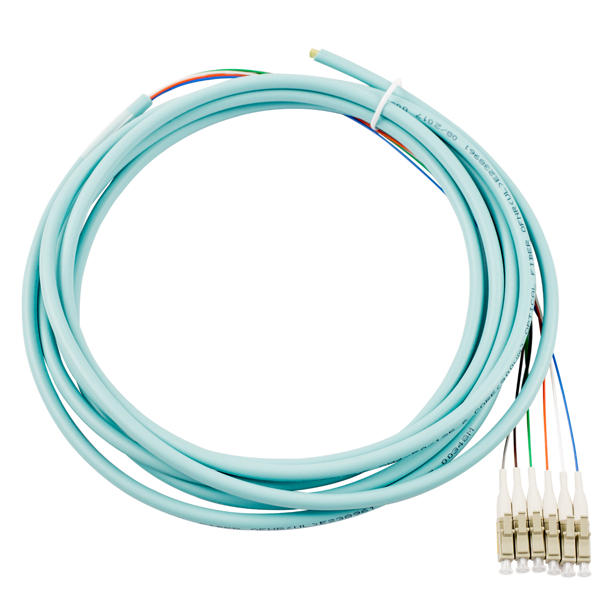 6-Fiber Pigtail, OM4