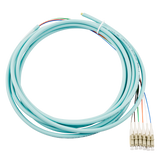 6-Fiber Pigtail, OM4