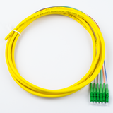 6-Fiber Pigtail, OS2