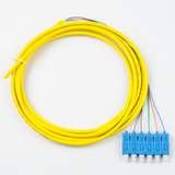 6-Fiber Pigtail, OS2